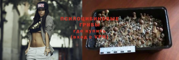 МДПВ Алексин