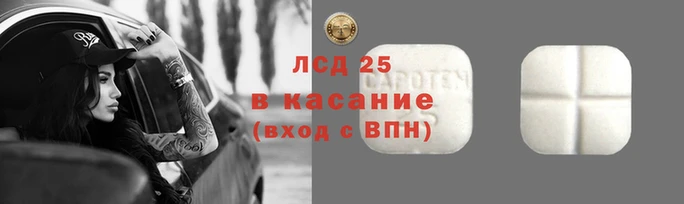 гашик Алзамай