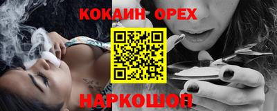 гидра Кохма