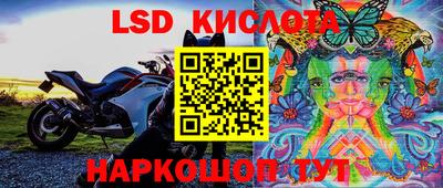 ешки Котовск