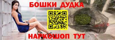 гидра Кохма