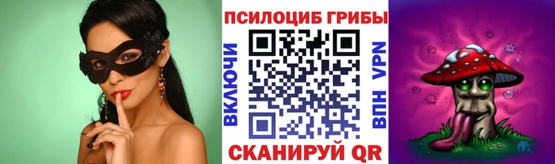 где продают   Арсеньев  Галлюциногенные грибы мухоморы 