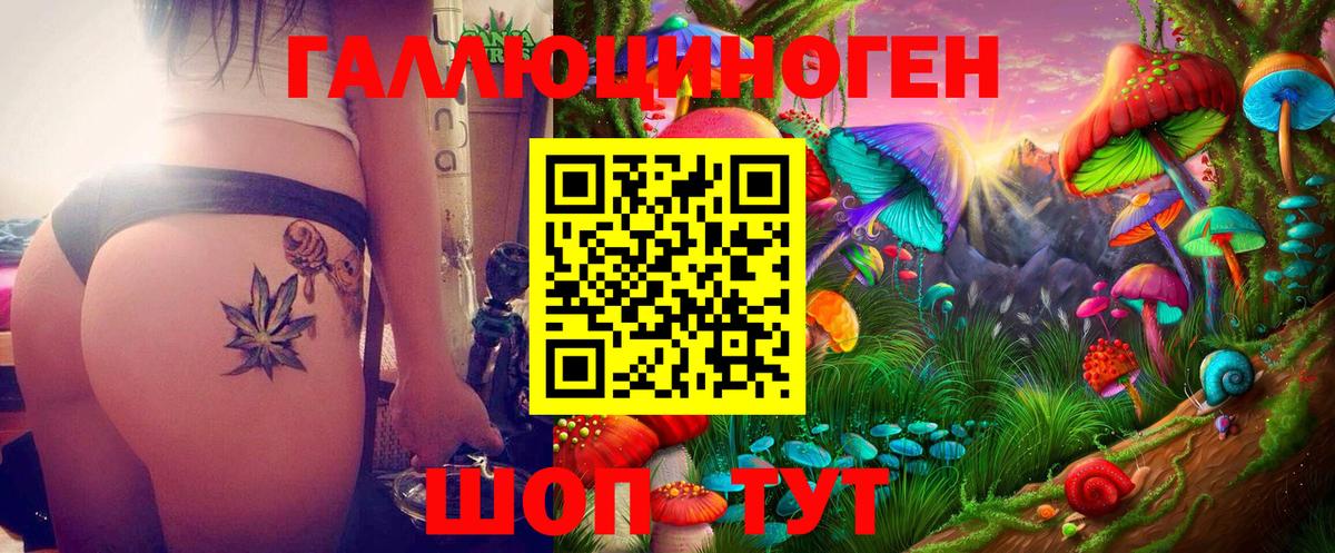 Арсеньев  Псилоцибиновые грибы Psilocybine cubensis  Вход с VPN 